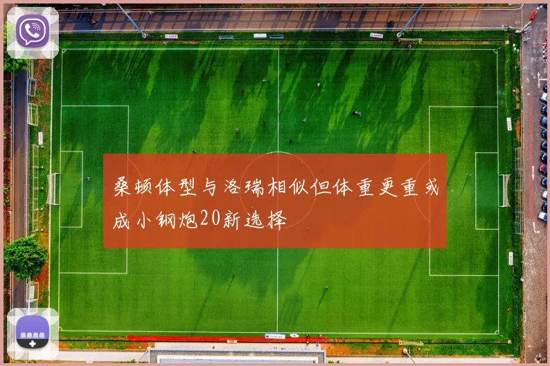 桑顿体型与洛瑞相似但体重更重或成小钢炮20新选择