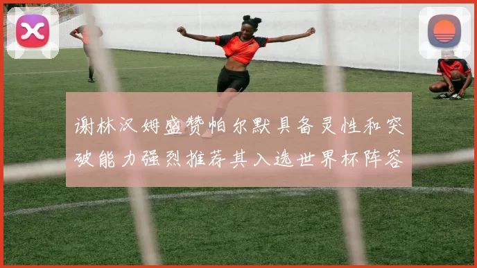 谢林汉姆盛赞帕尔默具备灵性和突破能力强烈推荐其入选世界杯阵容